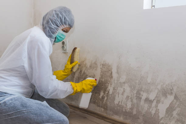 Best HVAC Mold Remediation in Cheswold, DE